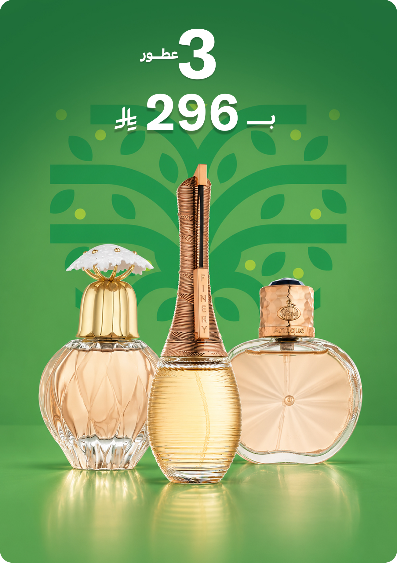 3 Products for 196SAR